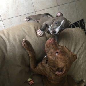 Meet your Posher, Davina